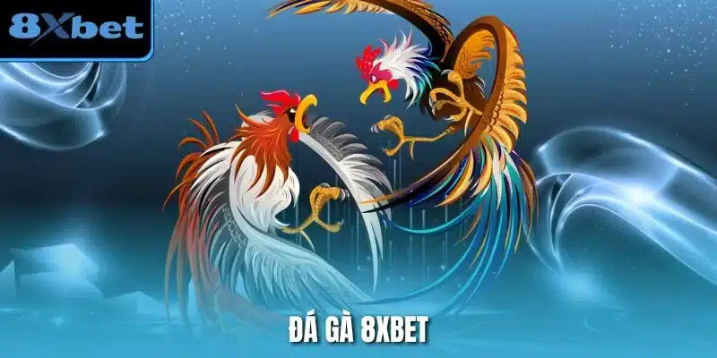 Đá Gà 8xbet – Trải Nghiệm Đỉnh Cao Cùng Đấu Trường Kịch Tính – ins.za.com